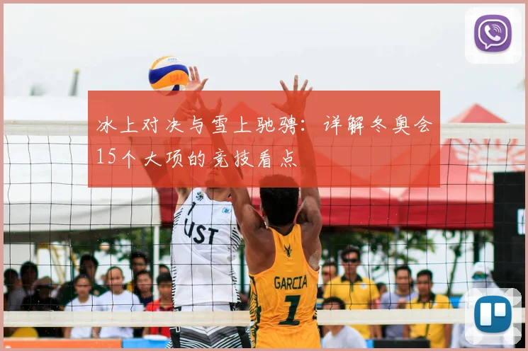 冰上对决与雪上驰骋:详解冬奥会15个大项的竞技看点