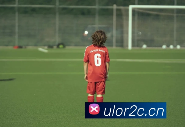 华会体育app官网发展历程